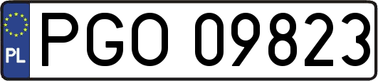PGO09823