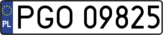 PGO09825