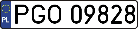 PGO09828