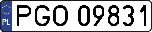 PGO09831