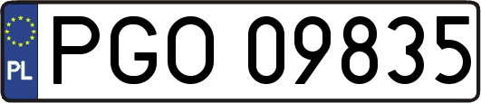 PGO09835