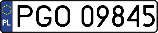 PGO09845