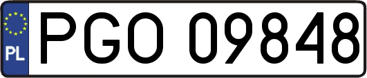 PGO09848