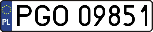 PGO09851