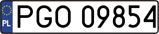 PGO09854