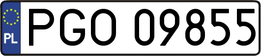 PGO09855