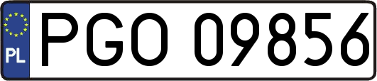 PGO09856