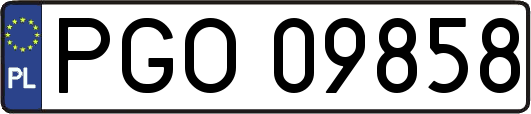 PGO09858