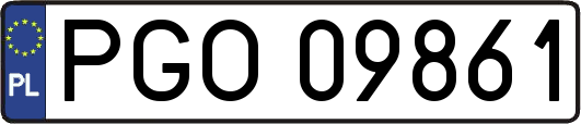 PGO09861