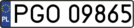 PGO09865
