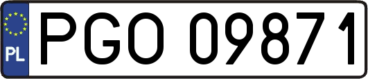 PGO09871