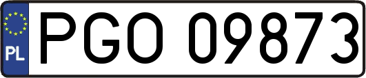 PGO09873