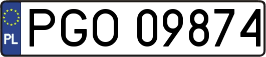 PGO09874