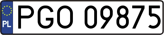 PGO09875