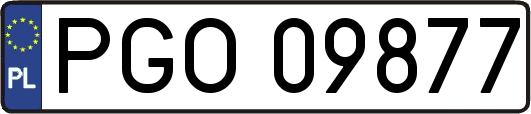 PGO09877