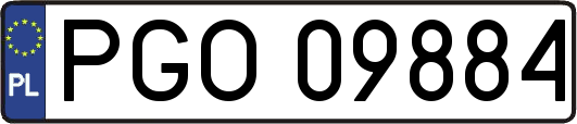 PGO09884