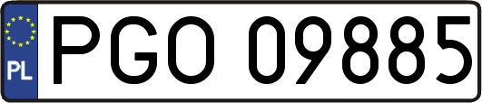 PGO09885