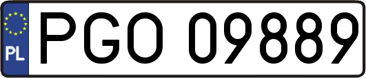 PGO09889