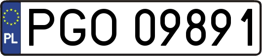PGO09891