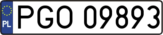 PGO09893