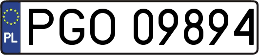 PGO09894