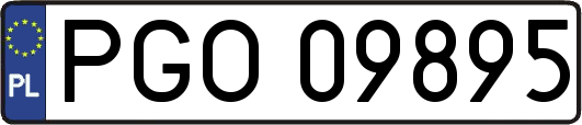 PGO09895