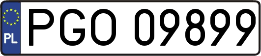 PGO09899