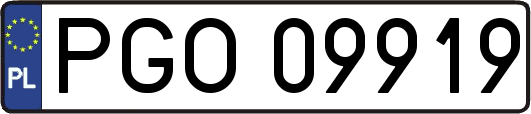PGO09919