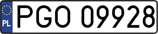 PGO09928