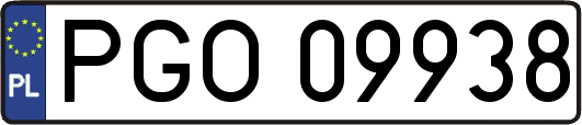 PGO09938