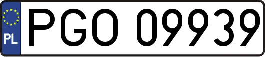 PGO09939