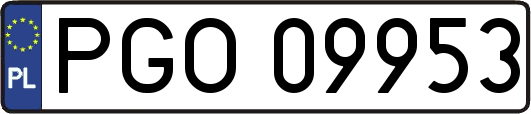 PGO09953