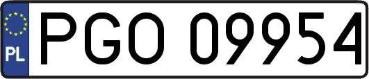 PGO09954
