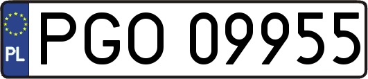 PGO09955