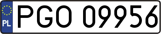 PGO09956