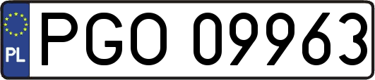 PGO09963