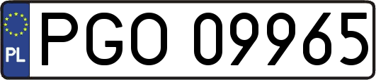 PGO09965