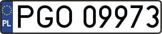 PGO09973