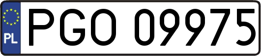 PGO09975