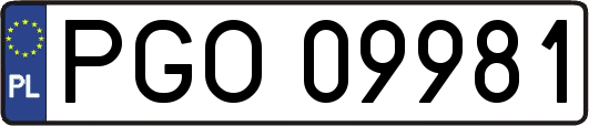 PGO09981