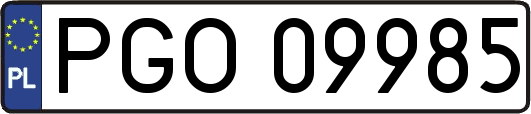 PGO09985