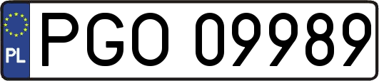 PGO09989