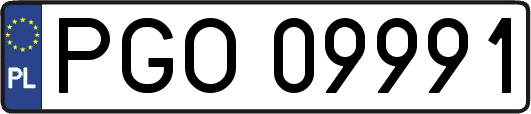 PGO09991