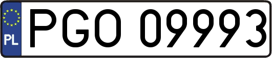 PGO09993