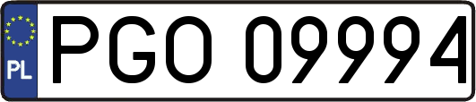 PGO09994