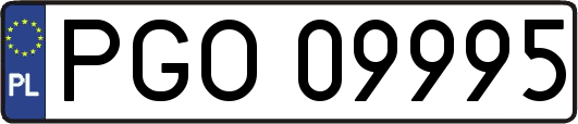 PGO09995