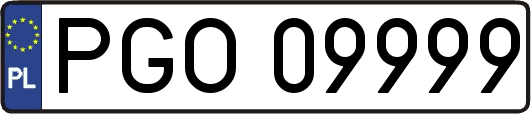 PGO09999