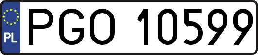 PGO10599