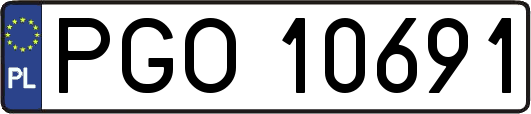 PGO10691