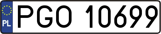 PGO10699